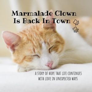 Marmalade Clown Storybook